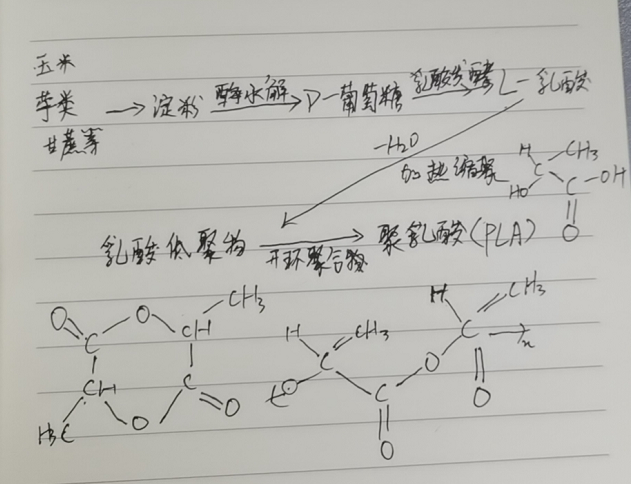生物降解袋中的PLA是如何制得的？(圖2)